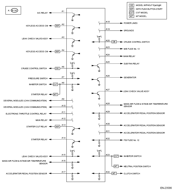 G13264175