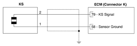 G13303819