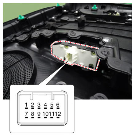 G13306166