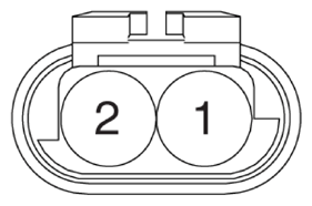 G13310081