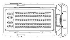 G13342629