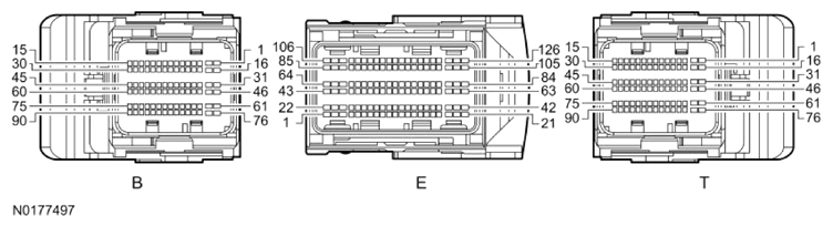 G13343389