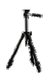 G13361397