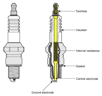 G13361554