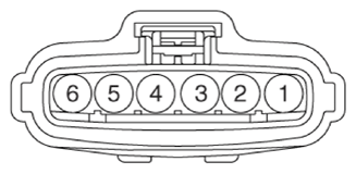 G13361691