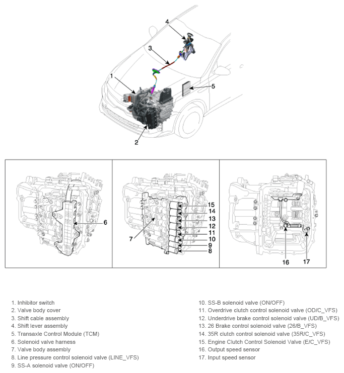G13361908