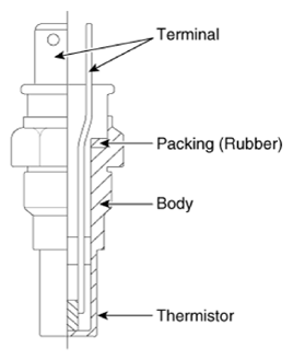 G13388058