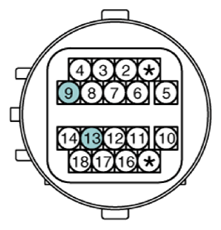G13388273