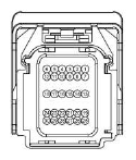 G13411047