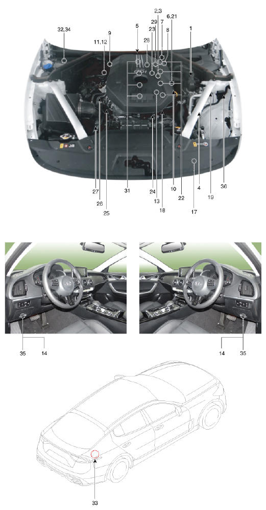 G13423429