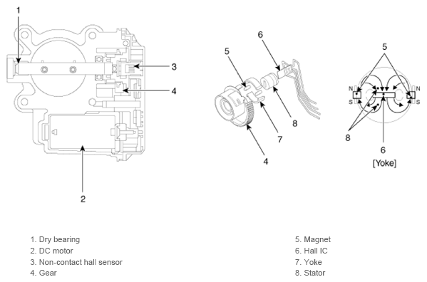 G13428116