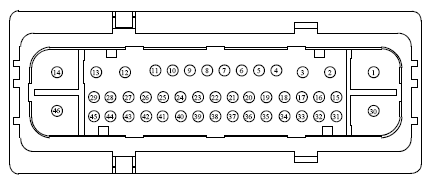 G13431490