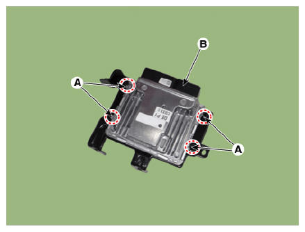 G13436536