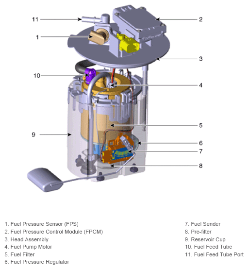 G13436667
