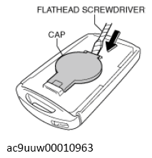 G13449375