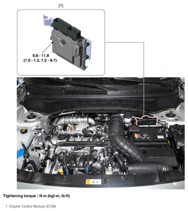 G13480589