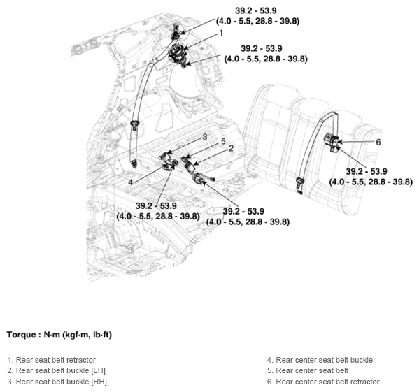G13486525