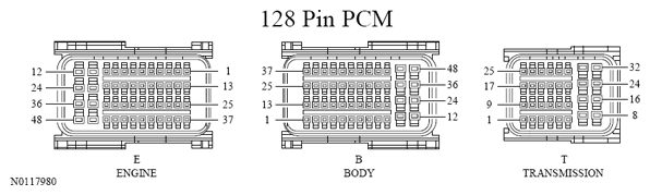 G13533379