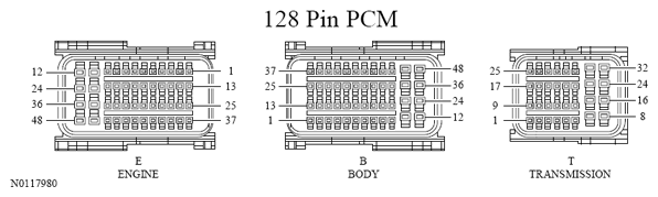 G13533393