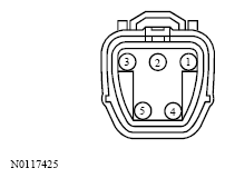 G13533394