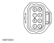 G13533497