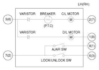 G13539551