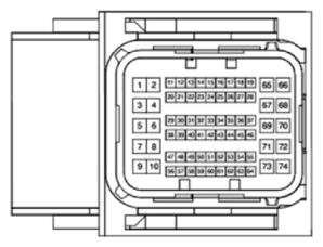 G13540081