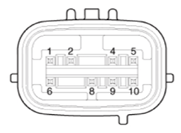 G13541075
