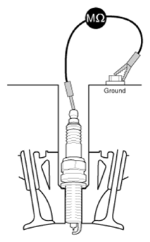 G13543194