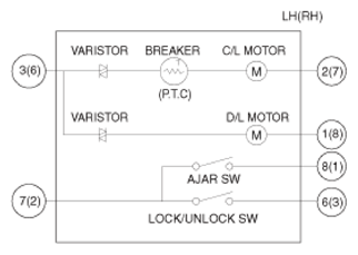 G13543483