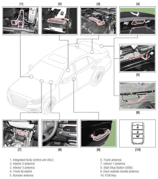 G13549814