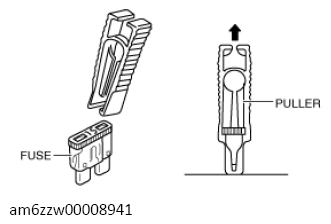 G13555987