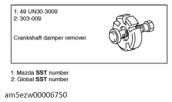 G13556075
