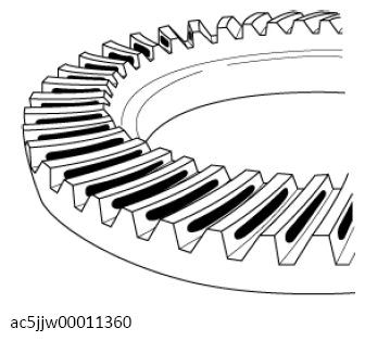 G13558057