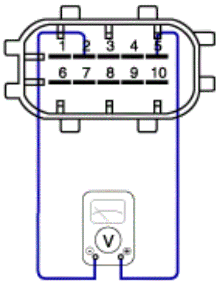 G13563156