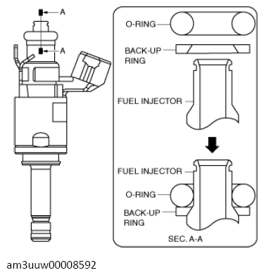 G13569815
