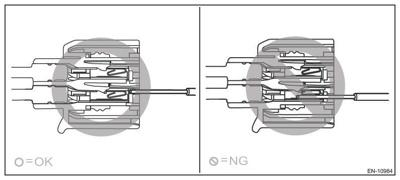 G13626689