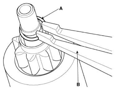 G13704519