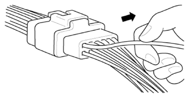 G13704612