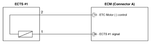 G13704657