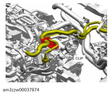 G13713785