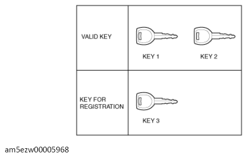G13728219