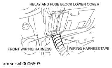 G13728675