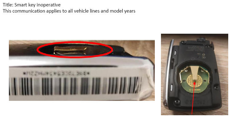 G13730677