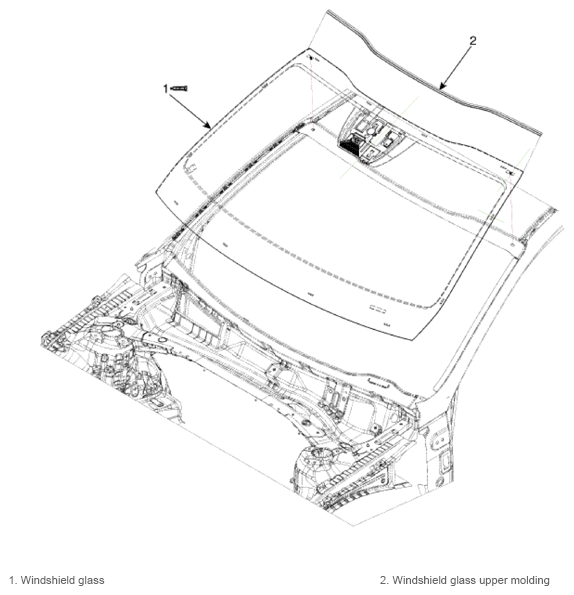 G13835646