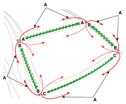 G13835662