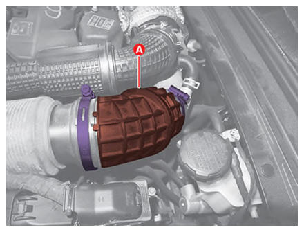 G13837427