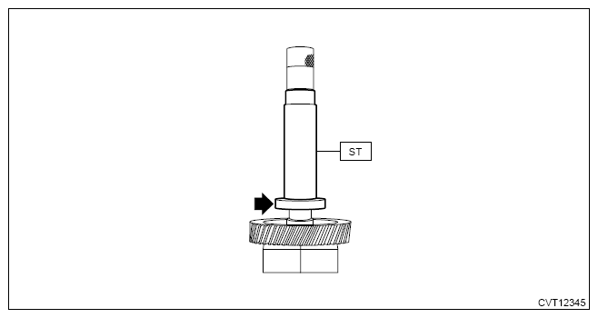 G13950652