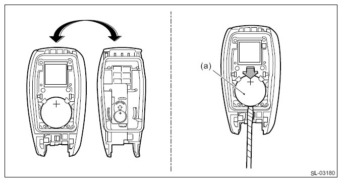 G13953487