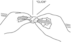 G14175526